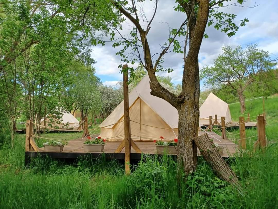 My Lake Glamping Dalnic ภายนอก รูปภาพ