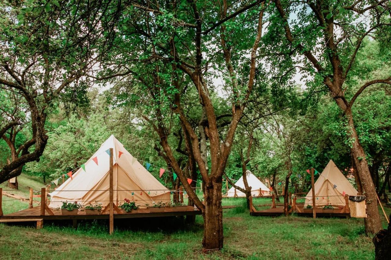 My Lake Glamping Dalnic ภายนอก รูปภาพ