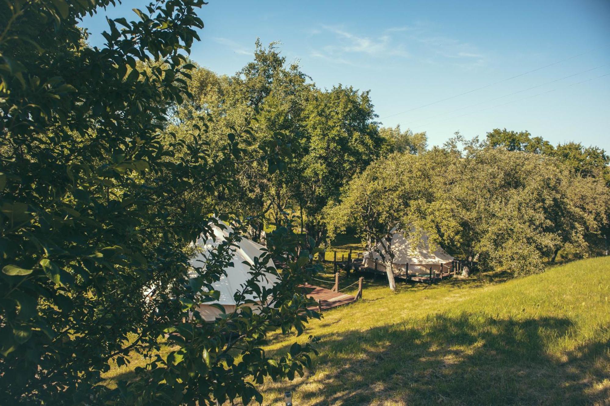 My Lake Glamping Dalnic ภายนอก รูปภาพ